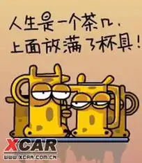 lele陈的相片
