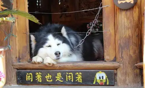 幽默小笑话夏天坐公交的一副对联,说的太准确了