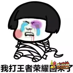 王者荣耀斗图表情包第171期你负责一打五我负责躺