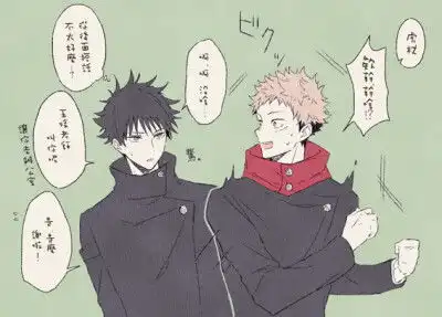 咒术回战伏黑惠虎杖悠仁虎伏