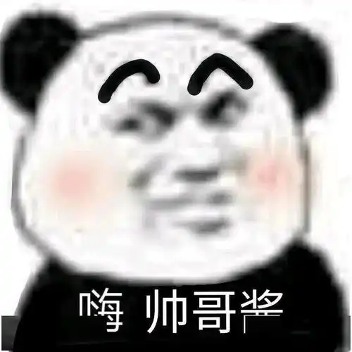 今日份表情包