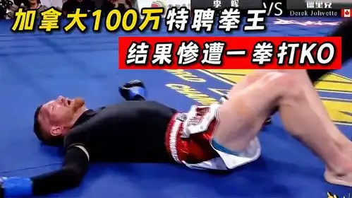 加拿大斥巨资100万特聘拳王不讲武德搞偷袭,结果惨遭一拳打ko