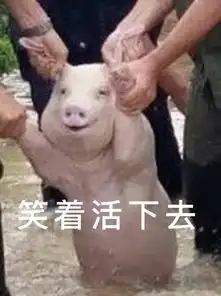网红小猪被做成表情包连国外网友也动手ps