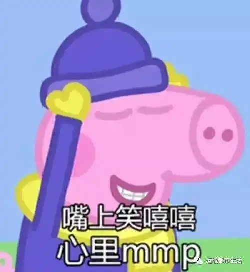 猪年不努力,啥都配不齐