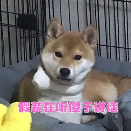 发给男朋友的沙雕表情包
