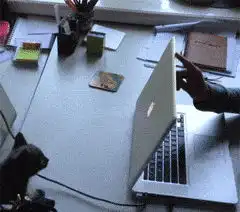搞笑gif那条鱼这么长,这么宽,它就这样跑,我就这样追