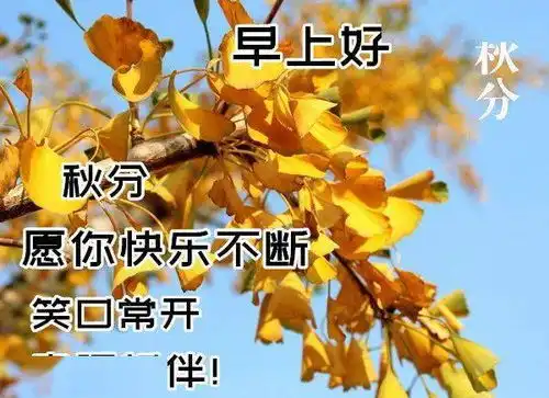 9月22日秋分早上好动态表情图片大全,早晨好动图美图大全