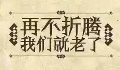 生命的意义在于折腾