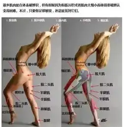 同是70kg,为什么你这么胖,她那么瘦
