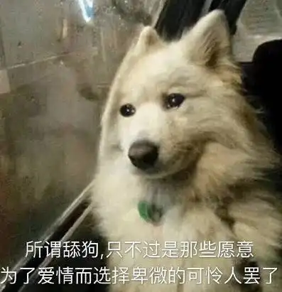 9年恋情不敌一个女模特原来世界最红的女明星也是个卑微舔狗