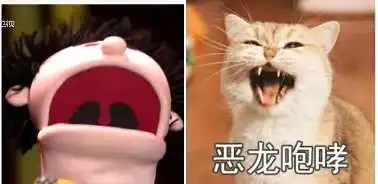 请记住你们不是木偶,你们是行走的表情包