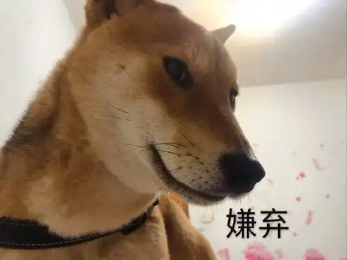 日常沙雕表情包这个人还蛮好笑的