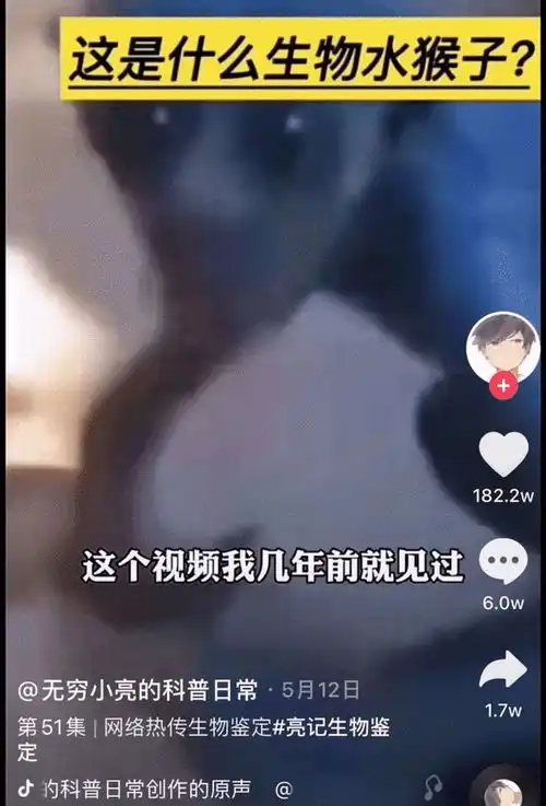 超火的无穷小亮藏狐表情包,大家快来前排围观藏狐在线暴躁
