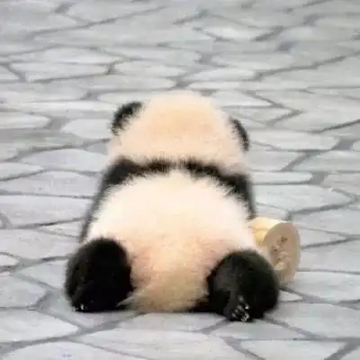 测试一个超长简介的文章
