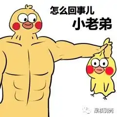 测试一个超长简介的文章