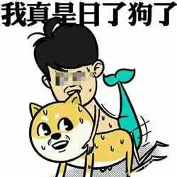 测试一个超长简介的文章