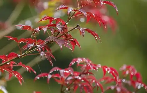 初冬气温骤降时刻,这几点危险事项,要让身边的人都知道