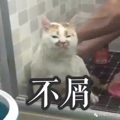 心痛两网红相继去世,今年剩下的日子该怎么活