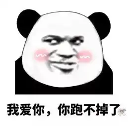 熊猫头表情包i你的小可爱没钱吃肉肉了