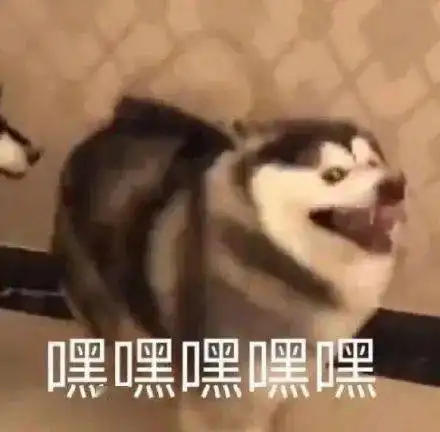 假如你的朋友断网了,你会