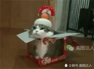 搞笑gif趣图这到底是猫还是老鼠我怎么傻傻分不清楚