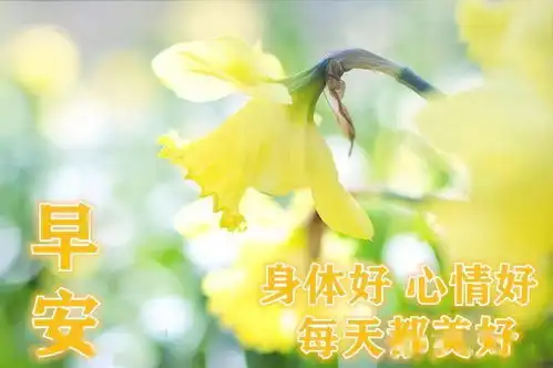 早晨发给朋友的浪漫问候句子朋友圈早晨最好看的早安图片带祝福语