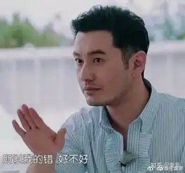 如何评价黄晓明在第三季中餐厅的表现