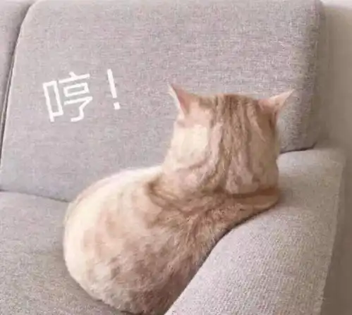 这八样深圳美食你都吃过吗,如果没有可以去试一下