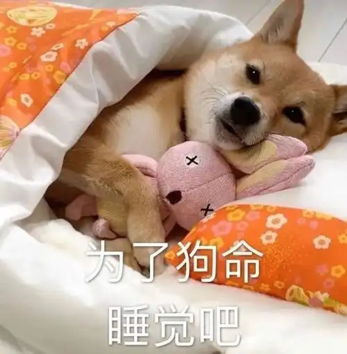 为啥肝成了一个动词