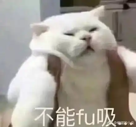 一大波猫咪表情包正在来袭,请接招...