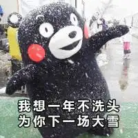 熊本熊微信表情包带字我们不要再见面了