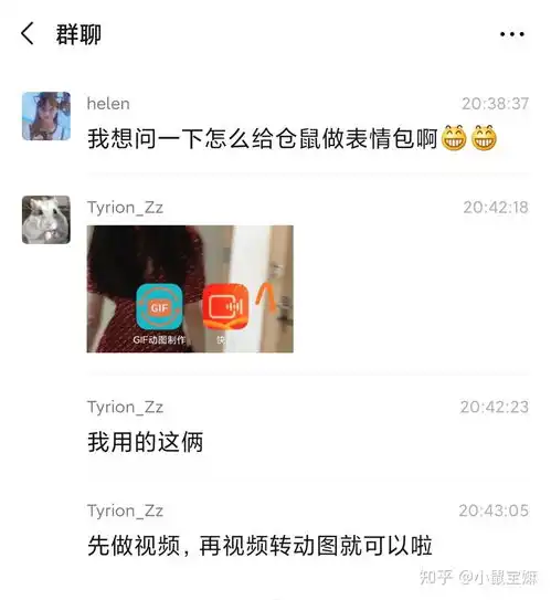 小鼠宝嫲鼠友微信群学做表情包