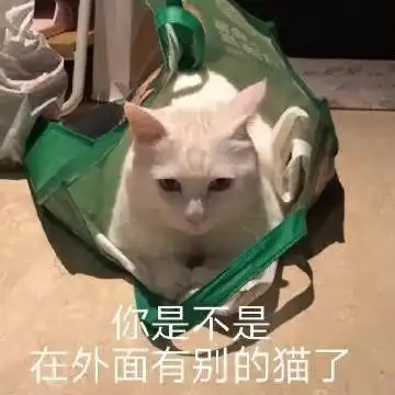 表情包小可爱来了