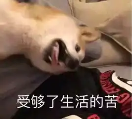 150多张聊天必备表情包大全