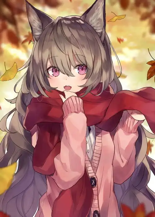 兽耳娘,猫耳娘,狐耳娘