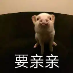 自媒体的价值是什么现在开始晚吗