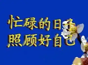 魏然因为表情包你和父母闹出的笑话