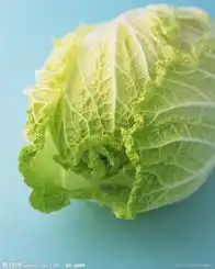 秀美食成都美食推,收集发现分享你身边的美食