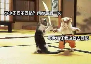 聪明老妈验证儿子是否有与女友上床的方法
