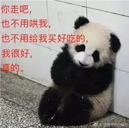 四川小熊猫也会东北揣哇每日一笑990期