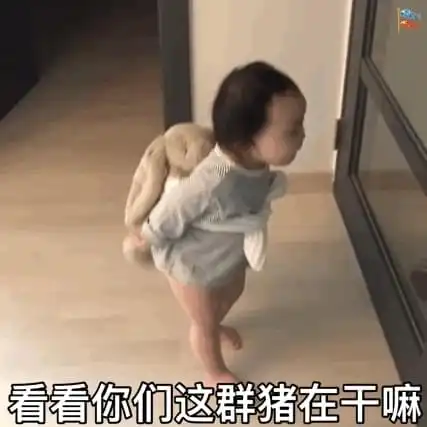 表情包你说的对但我不听