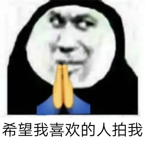 微信新功能拍一拍表情包我被猪拍了