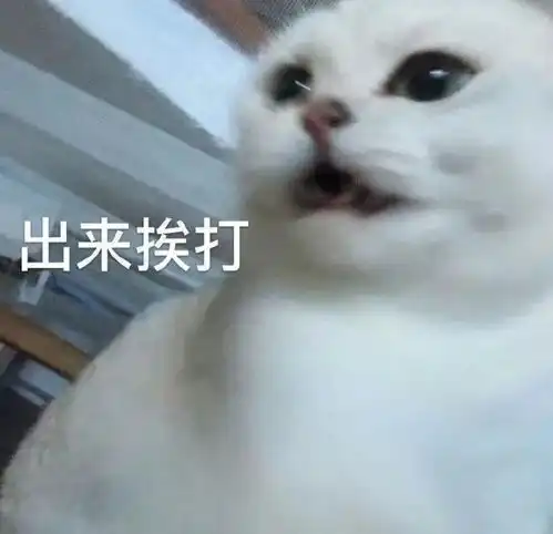 世界太危险,当时离被骗就差那么一点点