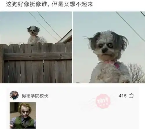 今日脑洞纸条上写了什么,让他一脸生气