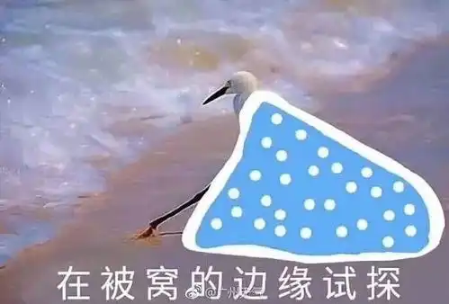 快被冻成雪条廉江明天开始解冻今年1号台风生成