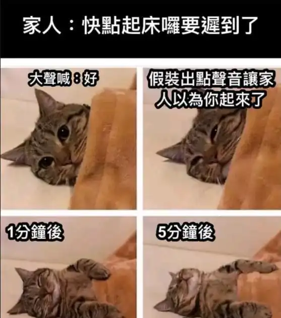 笑死我了,汽车a柱为啥不设计成透明,这样不就没盲区了