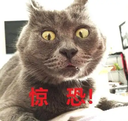 大门不出二门不迈,三步教你交电费