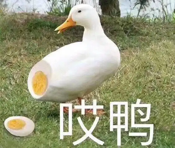 1122香香在线推荐脆皮鸭