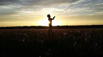 智慧高的人,自掩光华,人品好的人,自带光芒