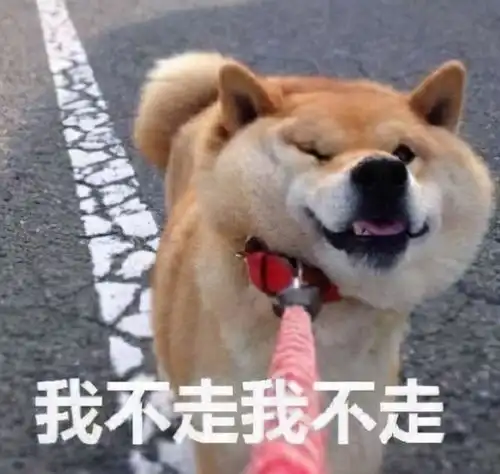 罗森全家711,盘点近期最喜欢的便利店零食都在这篇了